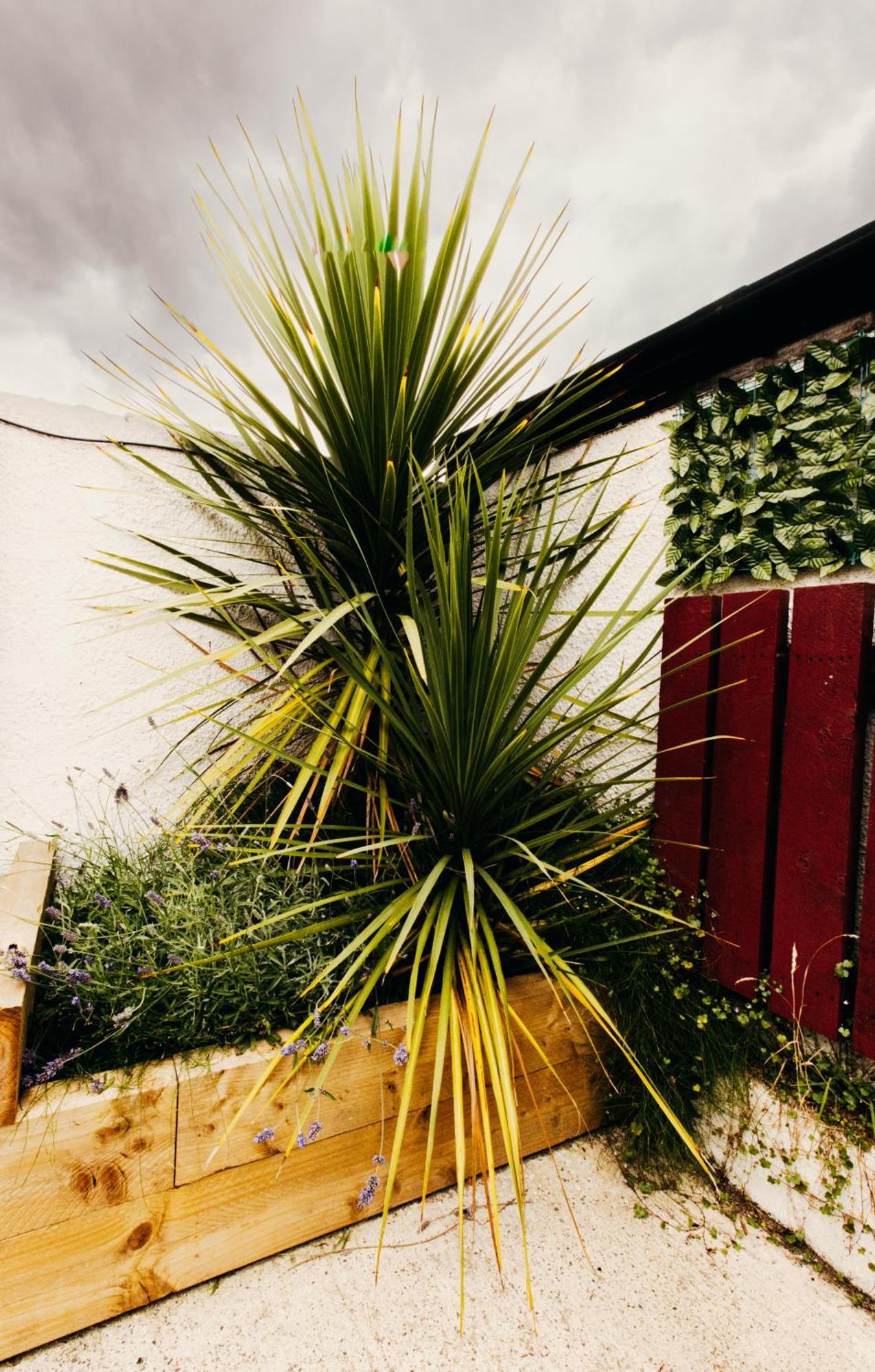 Friars Bush House Belfast - Stunning 4 Bedroom Detached House In Exclusive Queens Quarter Luxury Belfast City Centre Exterior photo